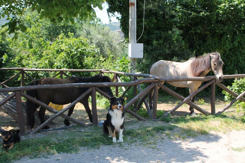 Agroturismo Agriturismo Piccolo Paradiso