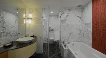 Radisson Blu Hotel Ahmedabad