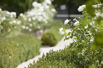 Hotel Peppers Craigieburn
