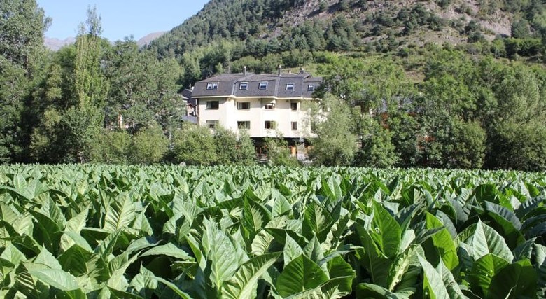 Hotel Palarine