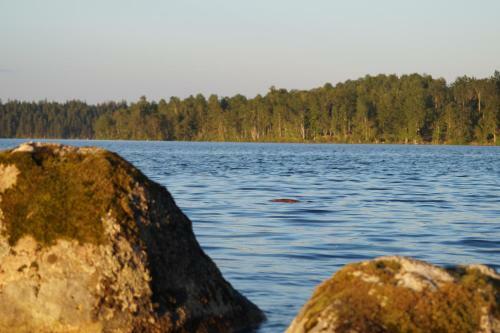 Lodge Tyras Stuga