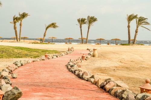 Hotel Aurora Beach Safari Resort