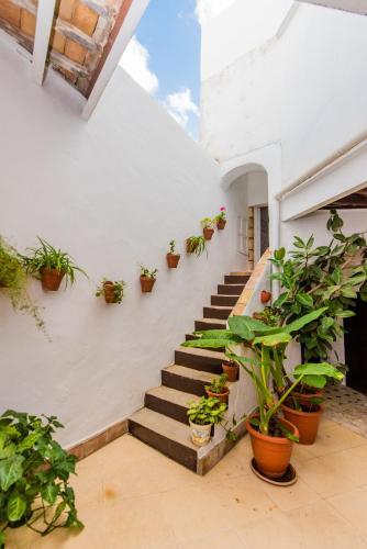 Apartamento Casa Bodega Triana