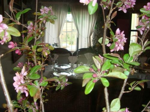 Hostal 44 On Ennis Guest Lodge And Restaurant