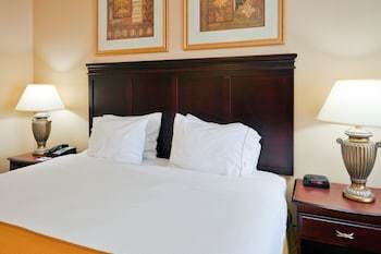 Holiday Inn Express Hotel & Suites Pell City