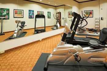 Holiday Inn Express Hotel And Suites Athens