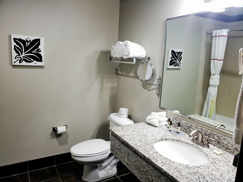 Hotel Hawthorn Suites By Wyndham Lubbock
