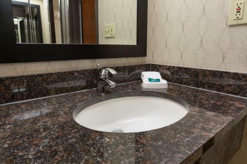 Hotel Drury Inn & Suites Houston Galleria
