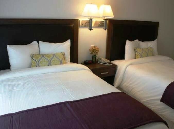 Hotel Collins