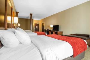 Hotel Comfort Suites