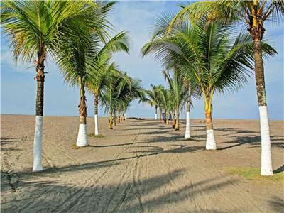 Hotel Best Western Jaco Beach All Inclusive Resort