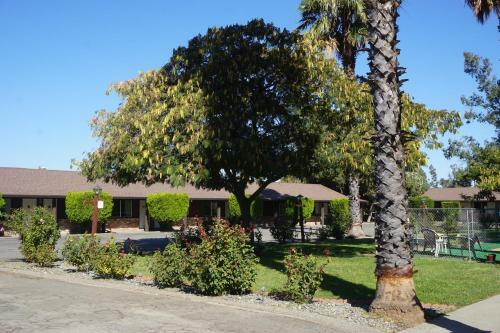 Blue Gum Motel