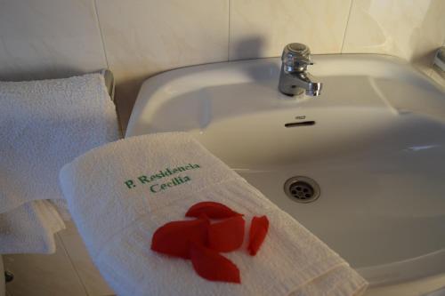 Hostal Pensi�n Residencia Cecilia
