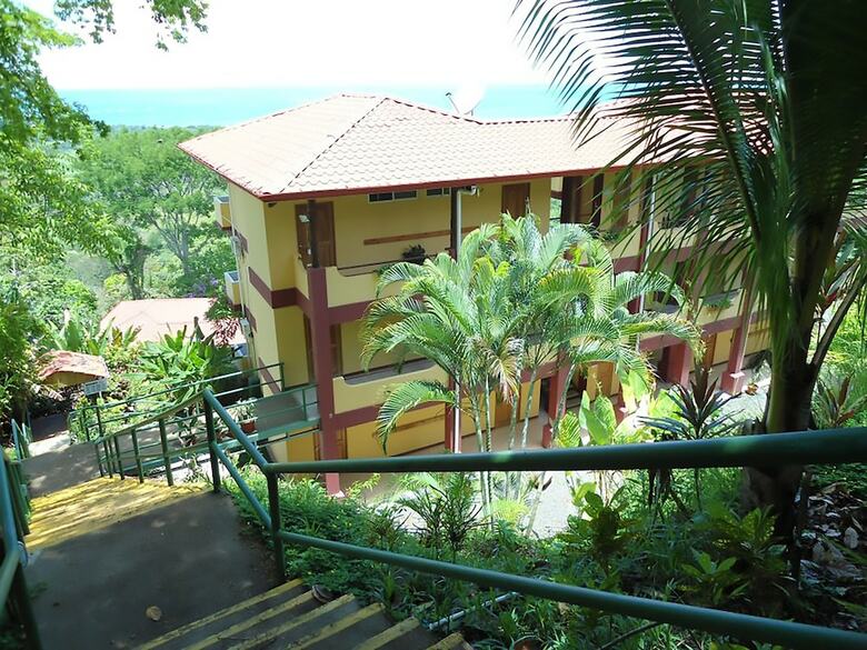 Hotel Whales  And  Dolphins
