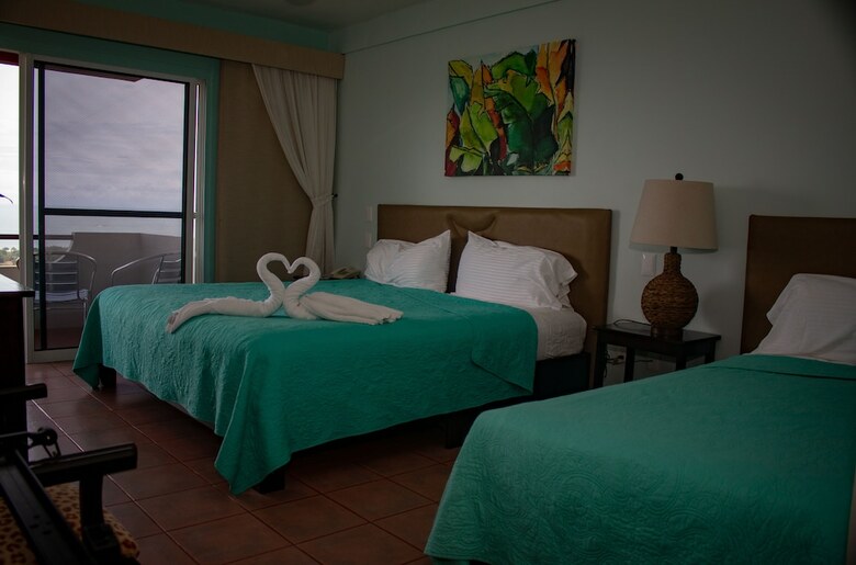 Hotel Whales  And  Dolphins