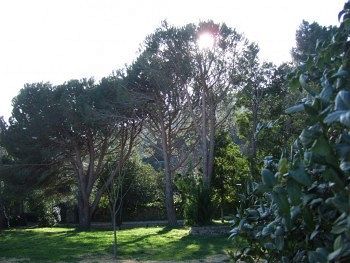 Hotel Villa Selene