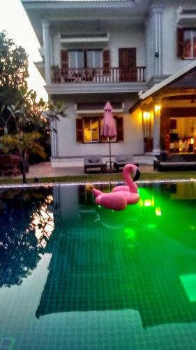 Bed & Breakfast Villa B. Maison D'h�tes Angkor