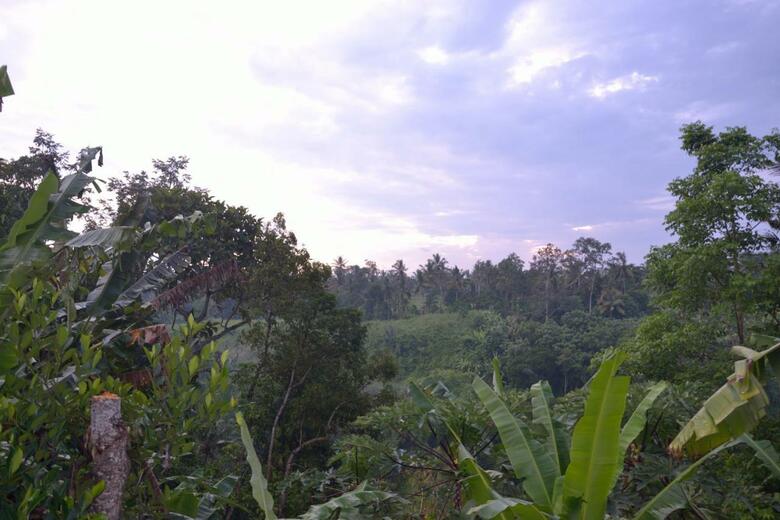 Pondok Bali