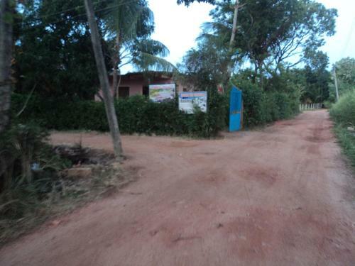 Hostal Robert Inn Dambulla