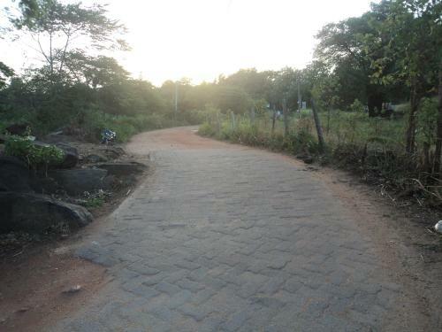 Hostal Robert Inn Dambulla
