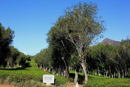 Agroturismo Hatale Mini World's End Bungalow