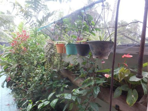 Waja Bed & Breakfast