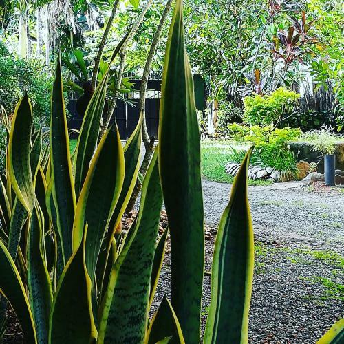 Grand Traverse Homestay