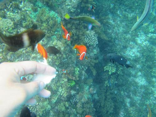 Beach Love Homestay