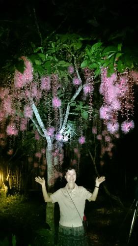 Dao Xiang Village B&B