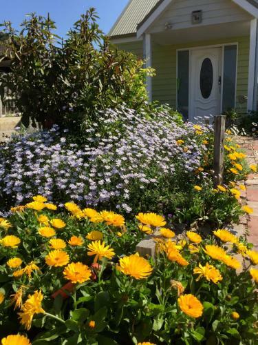 Bed & Breakfast Sea Salt Bnb