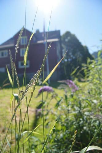 Hostal Amdenlodge - Bienenheim Naturhostel