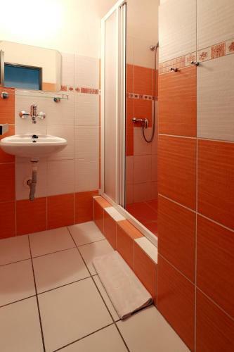 Hotel Zimn� Stadion N�chod