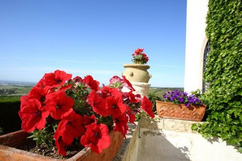 Bed & Breakfast Masseria Santa Caterina