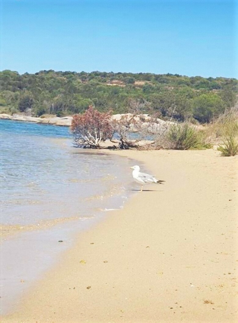 Apartamentos Villaggio Baia De Bahas � Suites