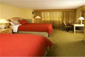 Hotel Wyndham Tampa Westshore
