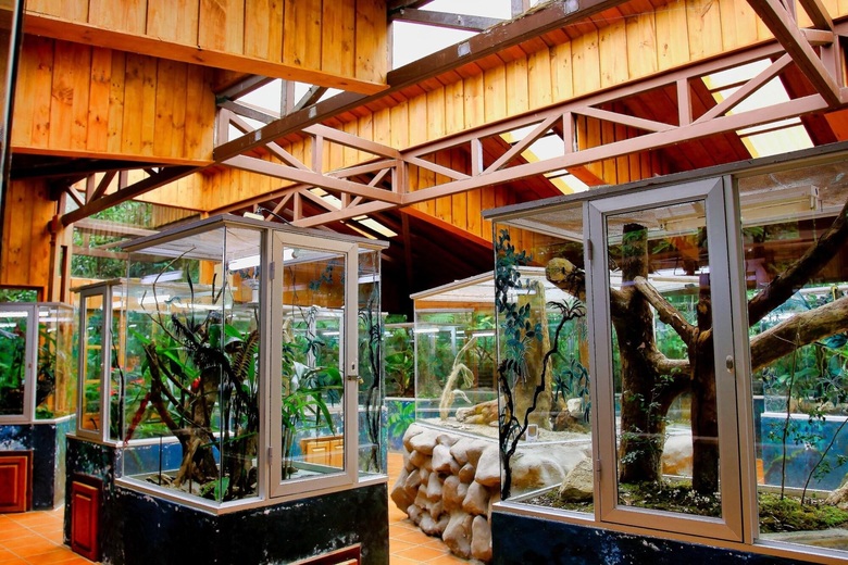 Hotel Ficus
