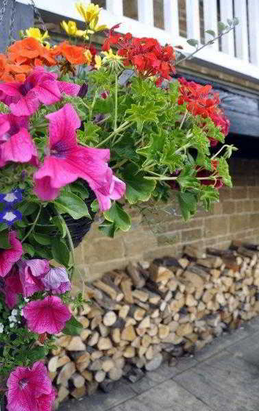 Hotel Best Western Wroxton House