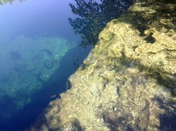 Albergue Cenote El Encanto