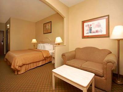Hotel Comfort Suites Downtown South