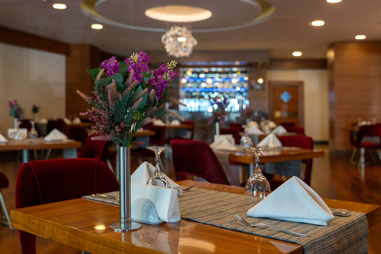 Hotel Ankara Plaza
