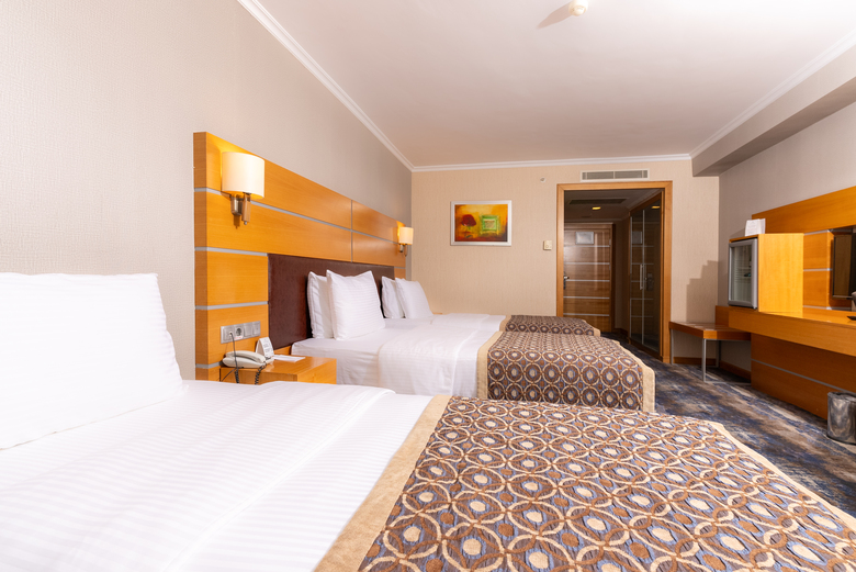 Hotel Ankara Plaza
