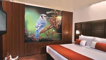Hotel Comfort Inn Tulip Heights