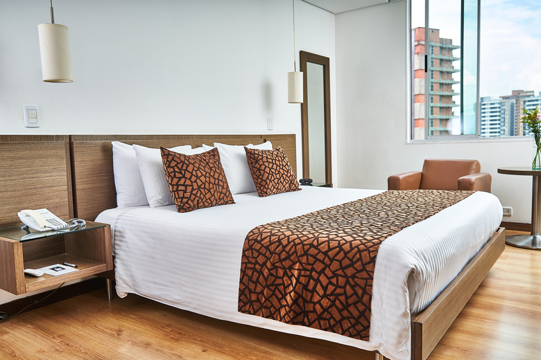 Hotel Poblado Alejandr�a