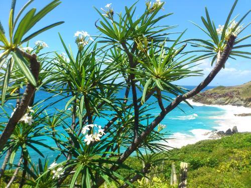 Apartamento Ocean Shore