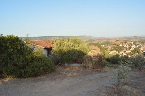 Agroturismo Su Ponti Biancu