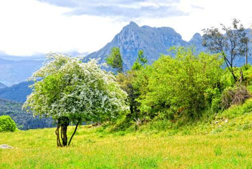 Agroturismo Finca Artienza