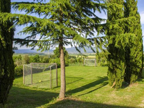 Apartamento Agriturismo Foiano Allodola