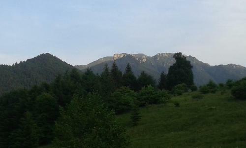 Villa Farmhouse Rosehip Romania Brasov