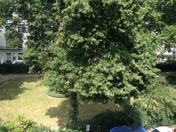 Kensington Court Hotel Notting Hill