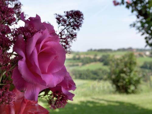 Apartamento Podere Fiorito Castagno Della Civetta